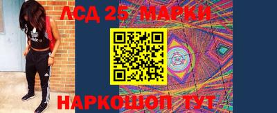 прущие грибы Коммунар