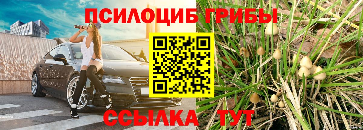 Галлюциногенные грибы мухоморы Котлас