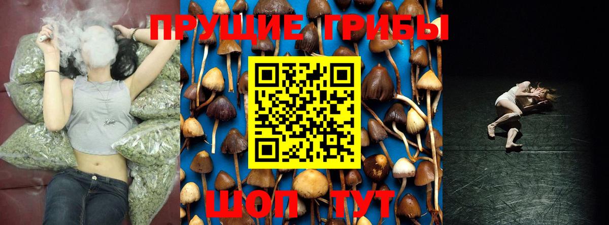 Котлас  Галлюциногенные грибы мухоморы  Вход с VPN  Псилоцибиновые грибы Magic Shrooms 